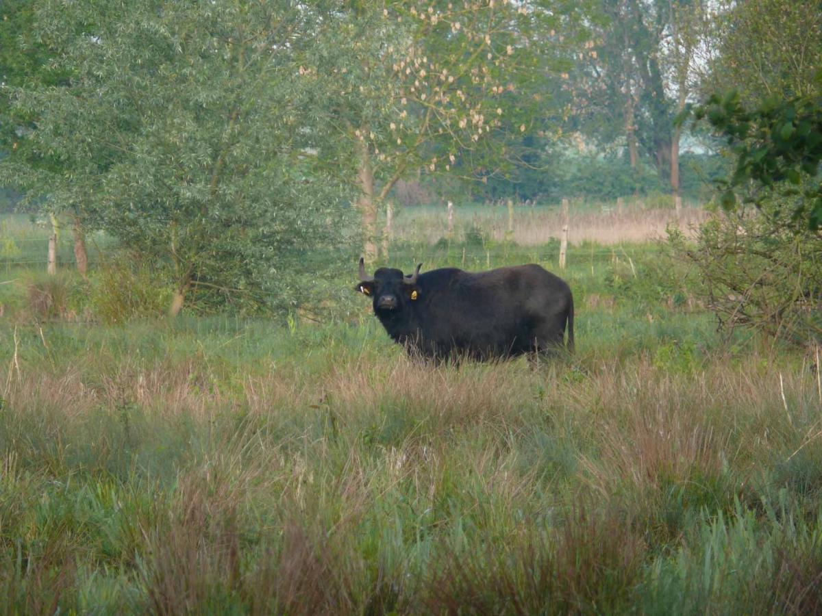 Landgasthof Vogt Bad Sassendorf Exteriér fotografie