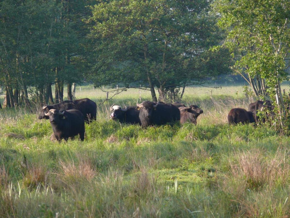 Landgasthof Vogt Bad Sassendorf Exteriér fotografie